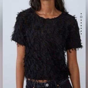 Zara Black Mesh Fringe Short Sleeve Top Size Large